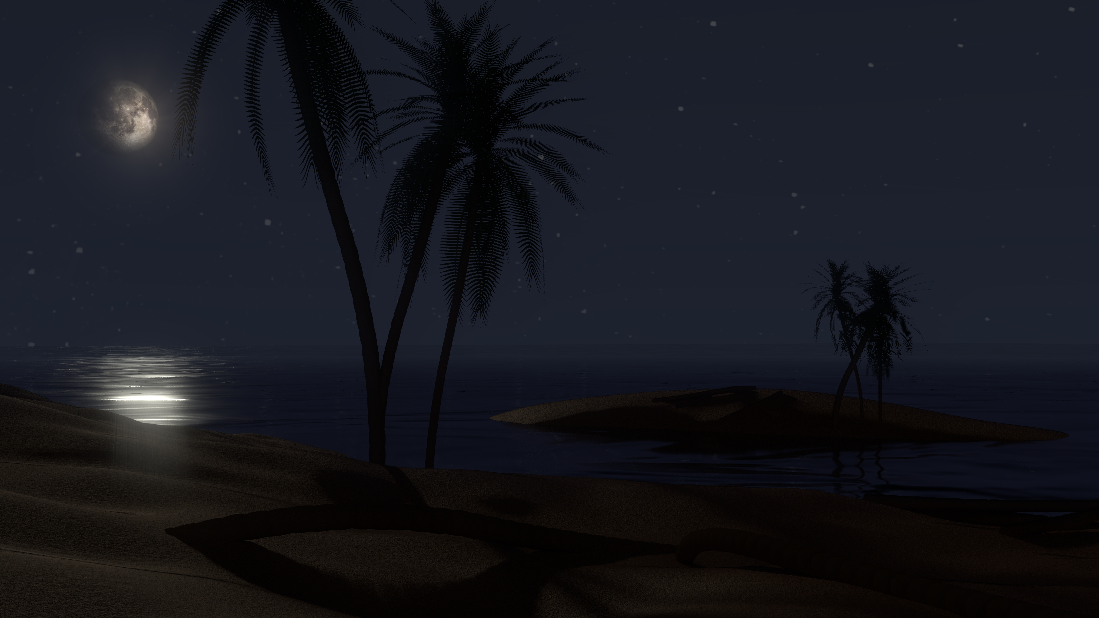 Midnight Palms